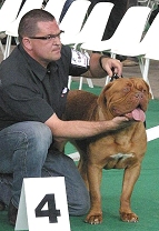 Badoy de la fée caline d'ybla